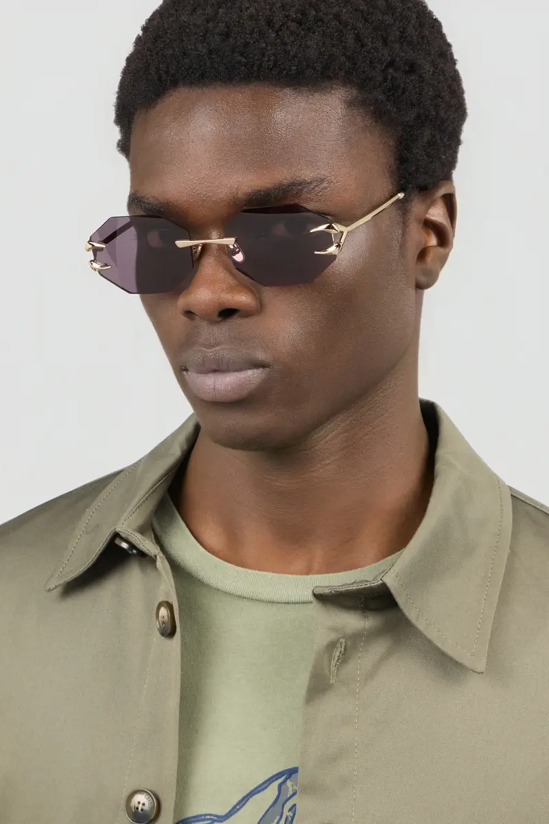 Roberto Cavalli Roberto Cavalli Sunglasses Fang Collection | Thumbnail 4