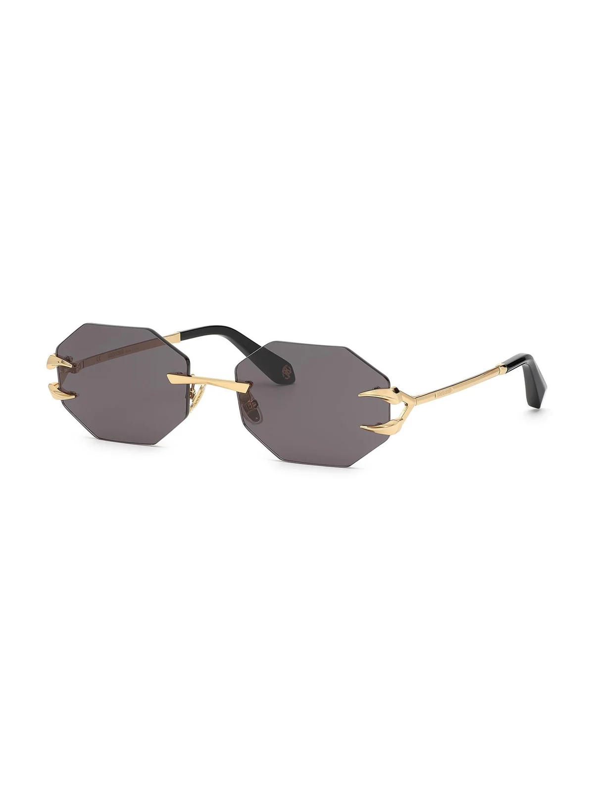 Sunglasses Fang Collection Sunglasses Fang Collection