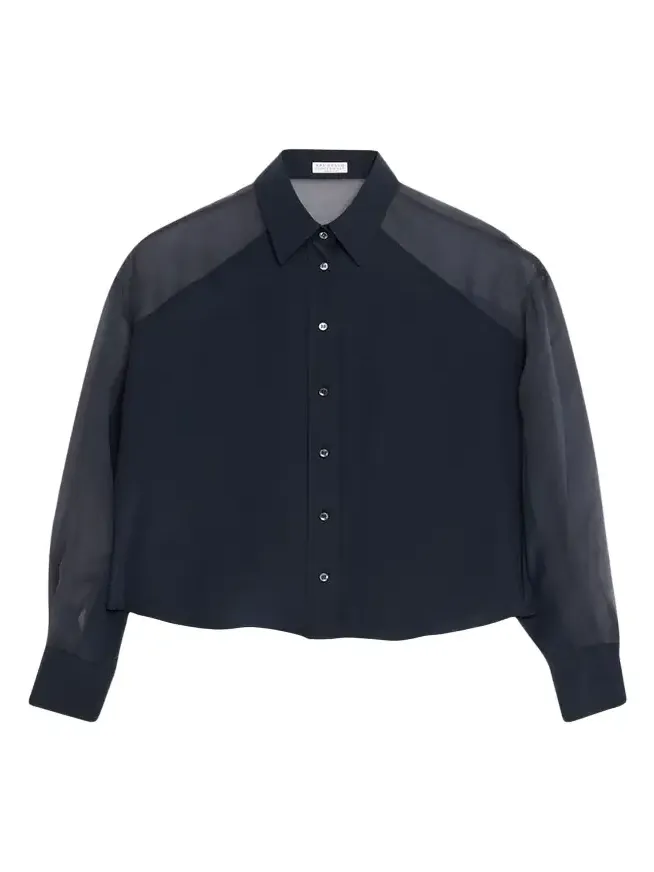 Chiffon Raglan Sleeve Button-Down Shirt