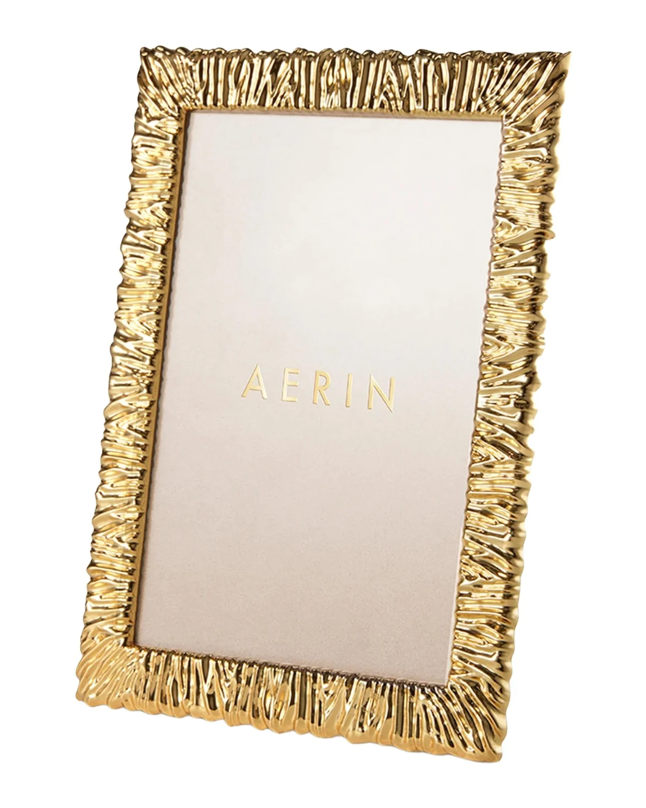 AERIN Ambroise Picture Frame