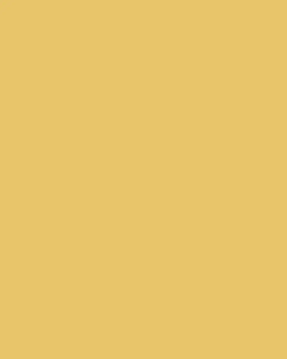L'Objet Perlee Saucer | Thumbnail 3