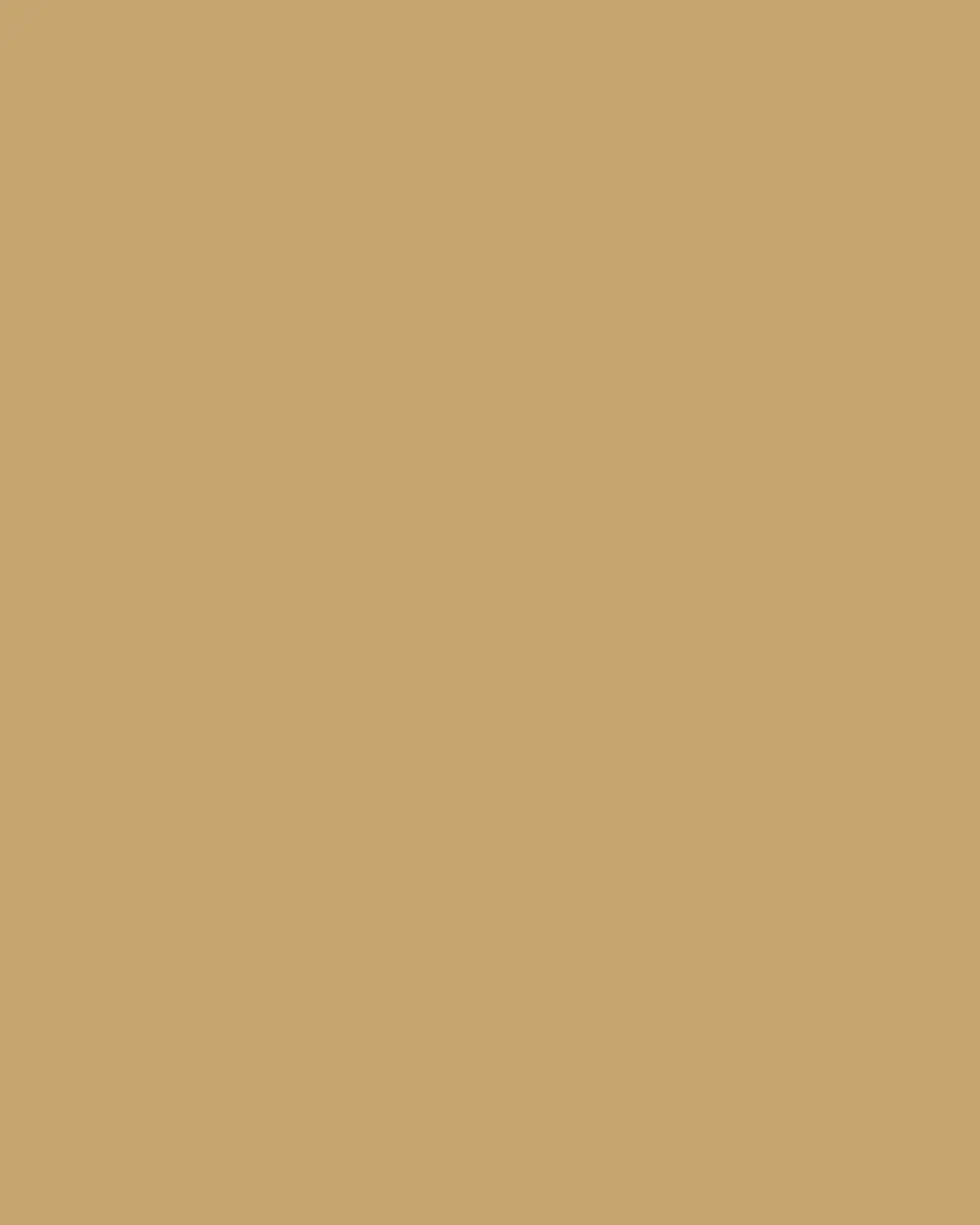 L'Objet Corde Salad/Dessert Plate, White/Gold | Thumbnail 3