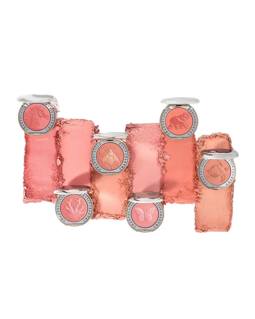 CHANTECAILLE Philanthropy Cheek Shade