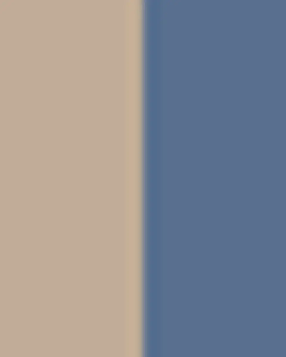 Kim Seybert Dip-Dye Napkin | Thumbnail 3 Kim Seybert Dip-Dye Napkin | Thumbnail 3