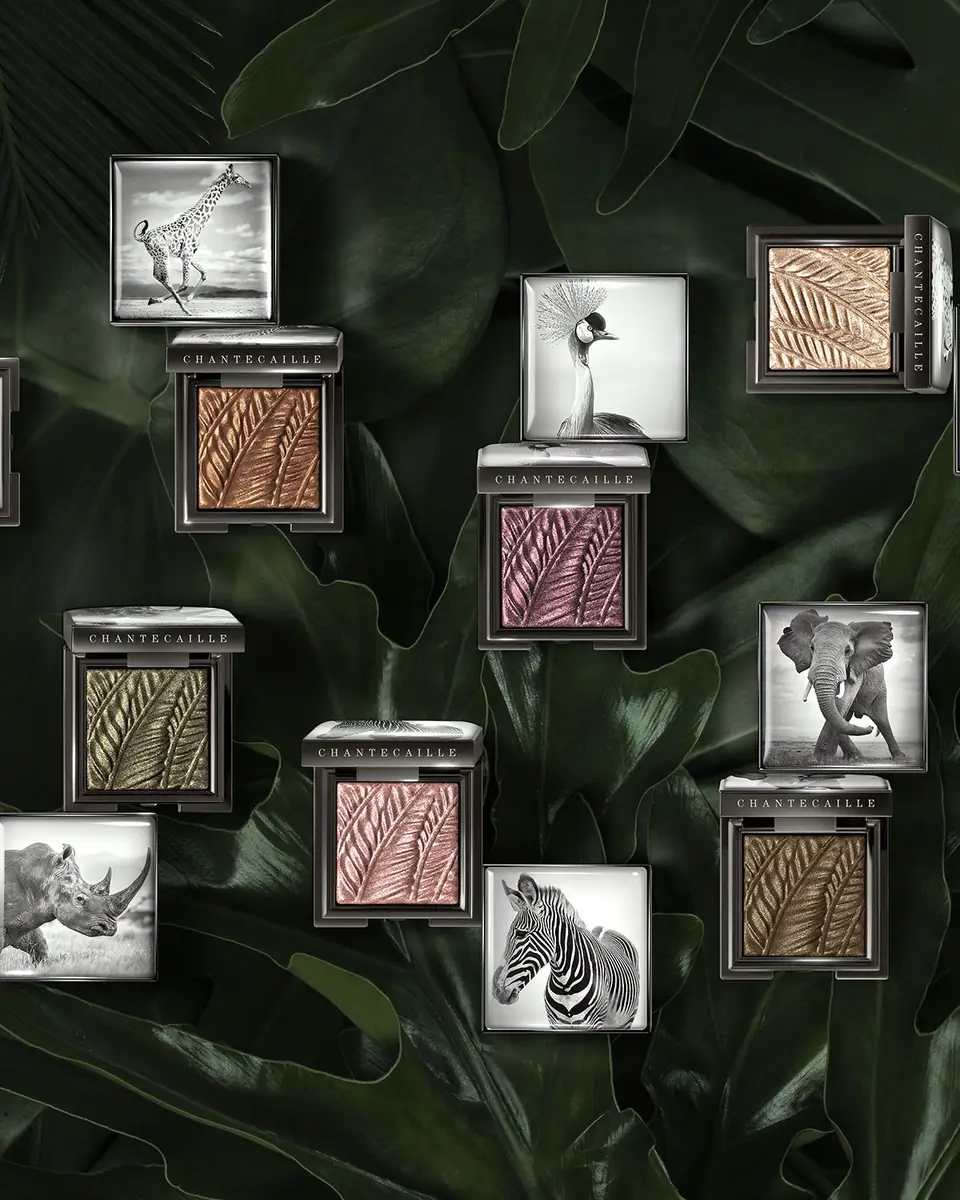 CHANTECAILLE Luminescent Eye Shades | Thumbnail 4
