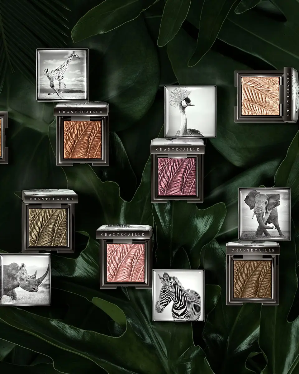 CHANTECAILLE Luminescent Eye Shades | Thumbnail 4