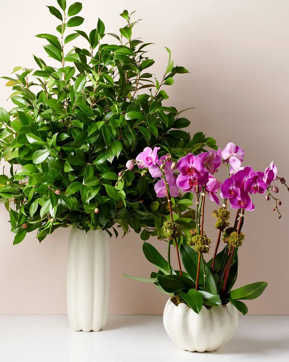 AERIN Mirabelle Cachepot | Thumbnail 4 AERIN Mirabelle Cachepot | Thumbnail 4