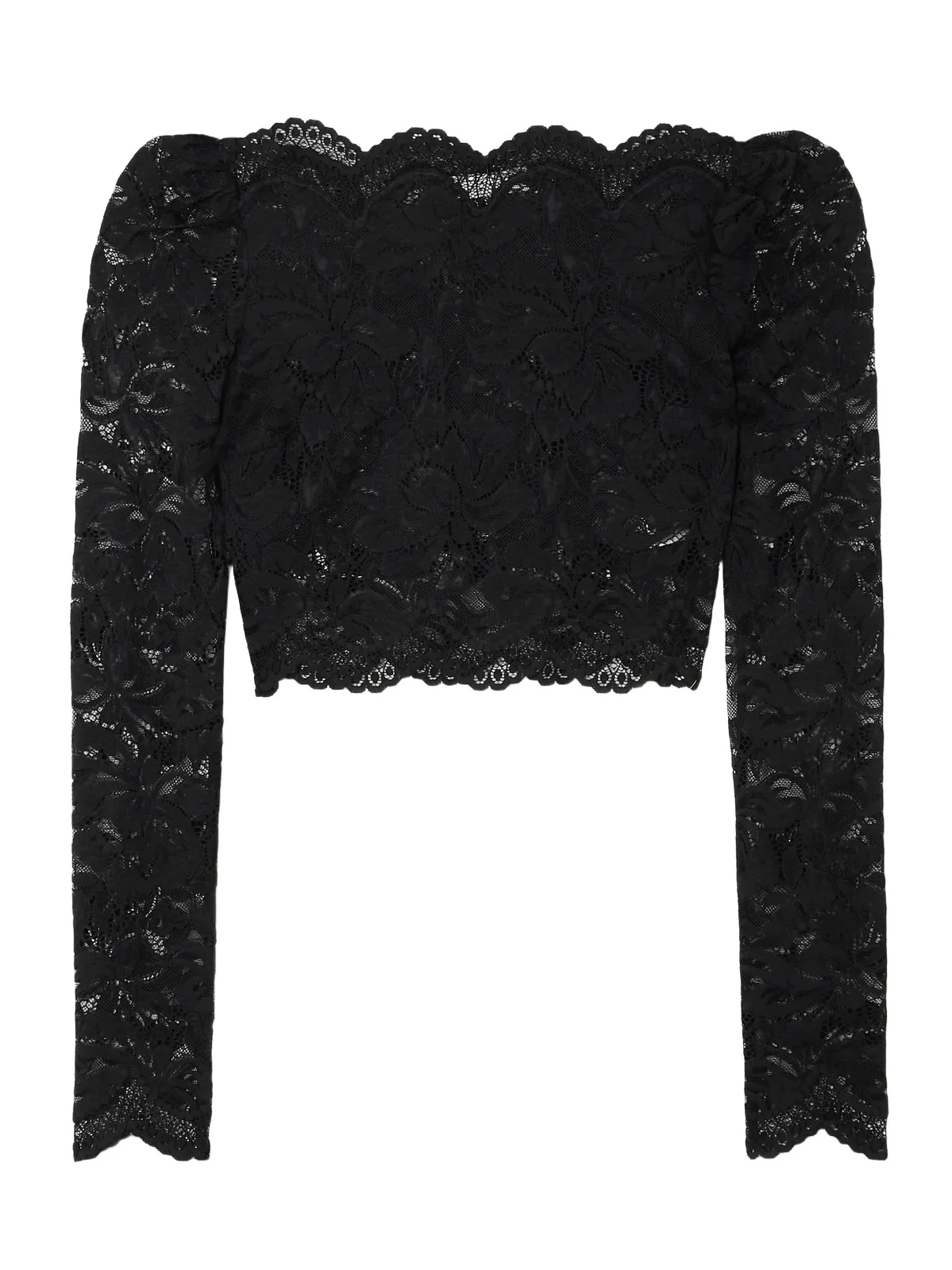 Rabanne Cropped Scalloped Stretch-lace Top