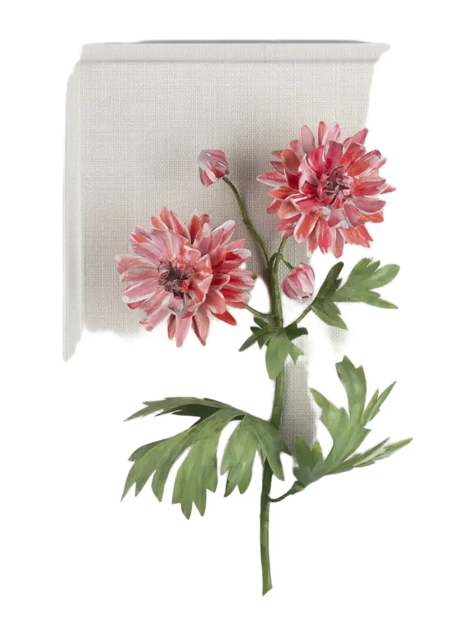 Tommy Mitchell Crysanthemum November Birth Flower Wall Art