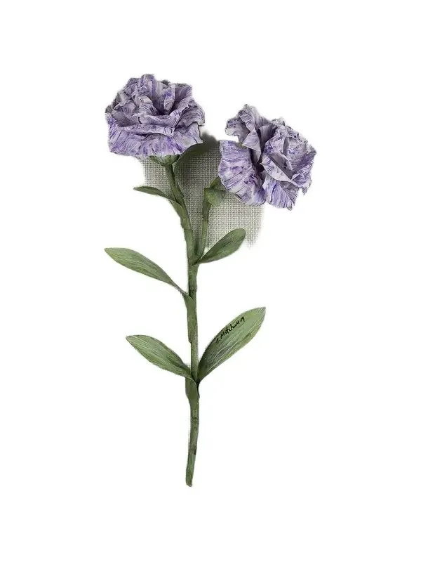 Tommy Mitchell Carnation January Birth Flower Wall Art