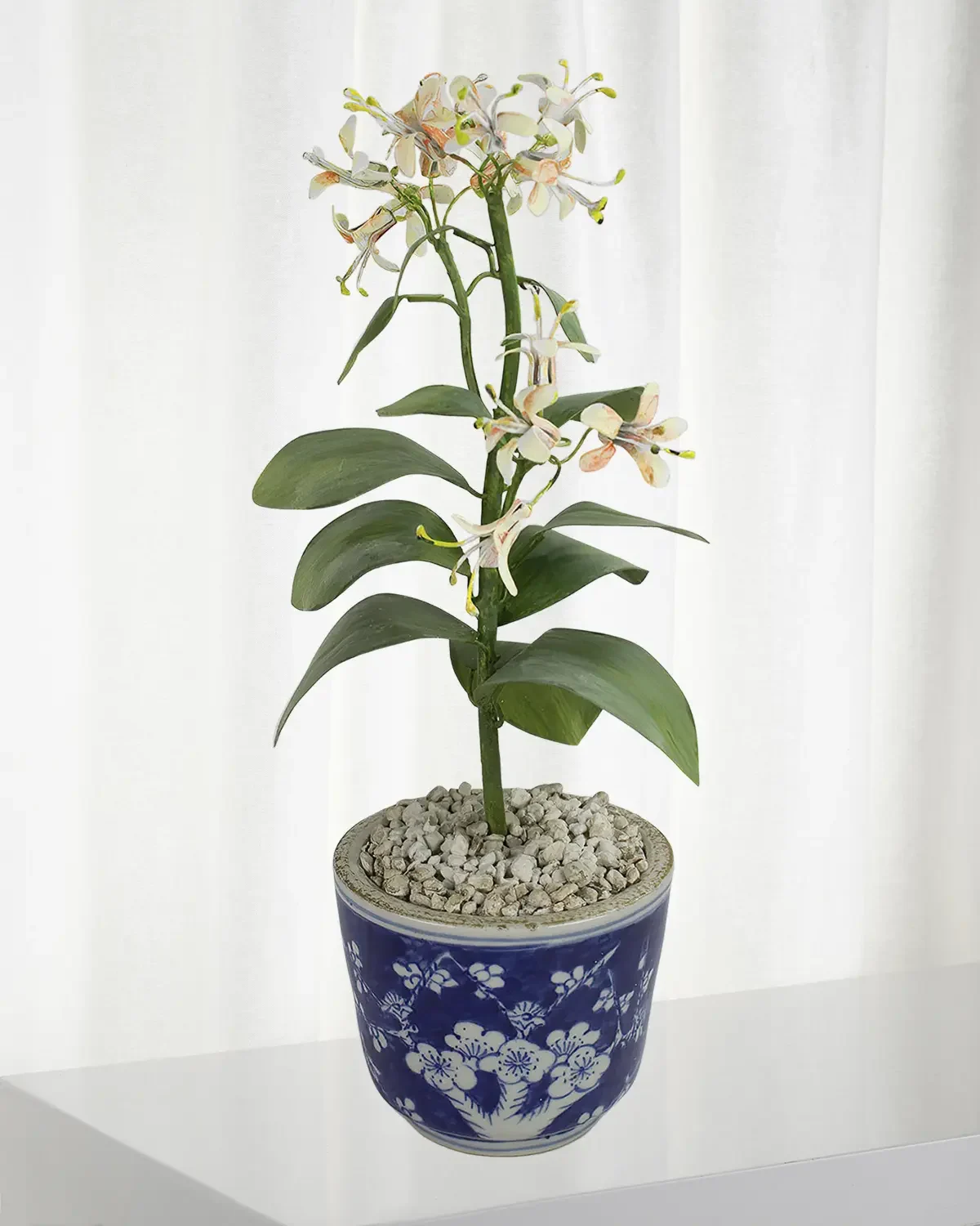 Tommy Mitchell Honeysuckle June Birth Flower in Ceramic Pot