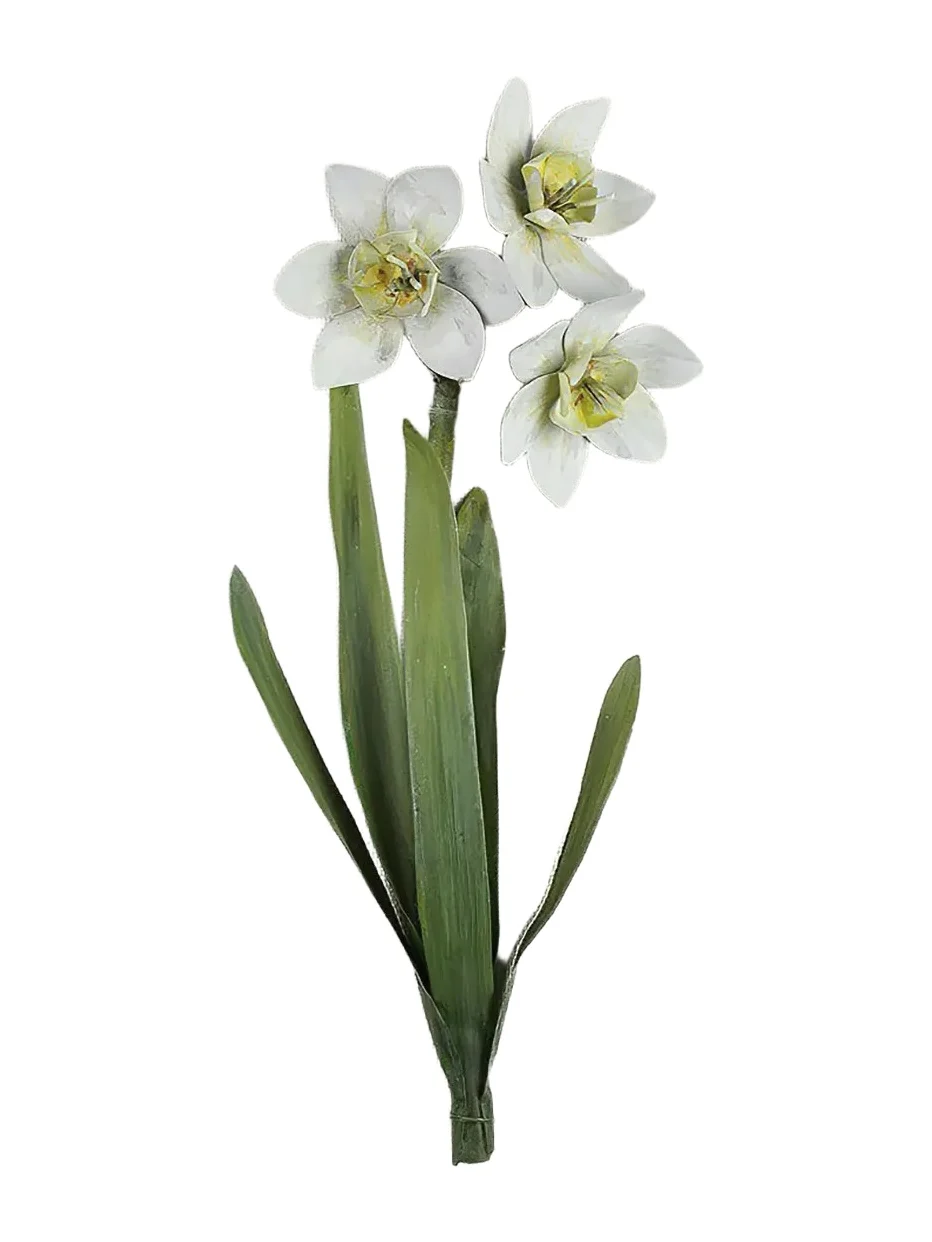 Tommy Mitchell Narcissus December Birth Flower Wall Art