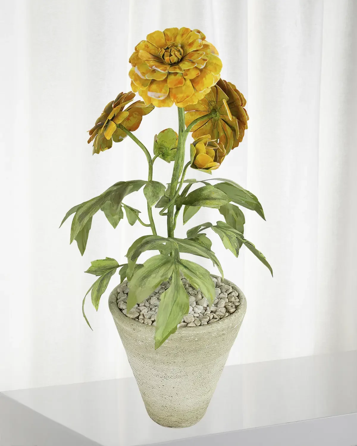 Tommy Mitchell Marigold October Birth Flower in White Terracotta Pot