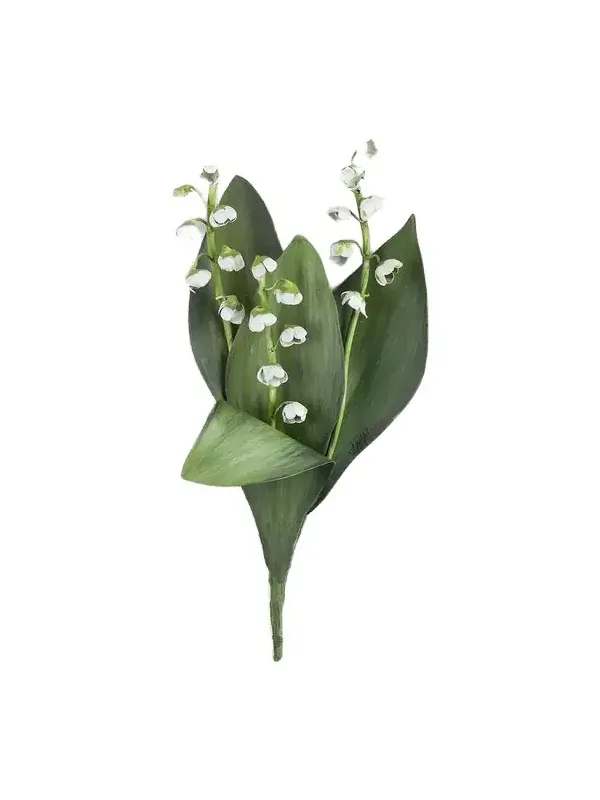 Tommy Mitchell Lily of the Valley May Birth Flower Wall Art