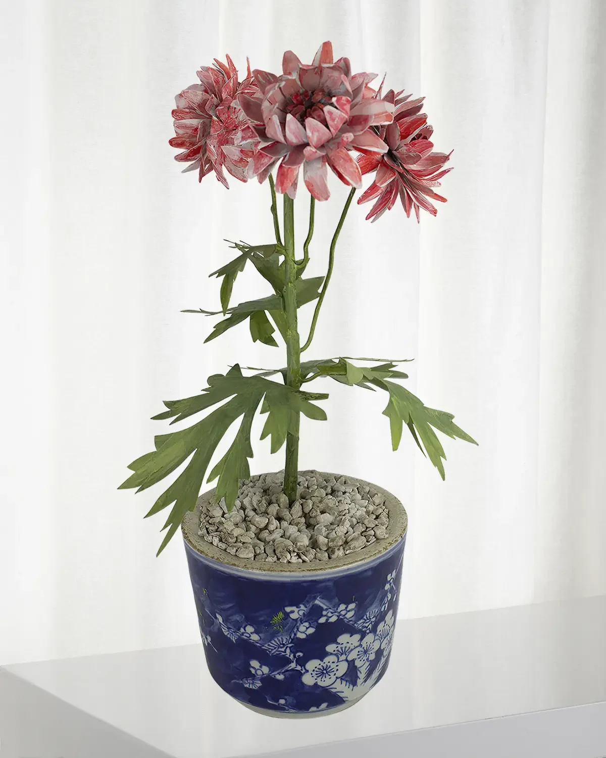 Tommy Mitchell Crysanthemum November Birth Flower in Ceramic Pot