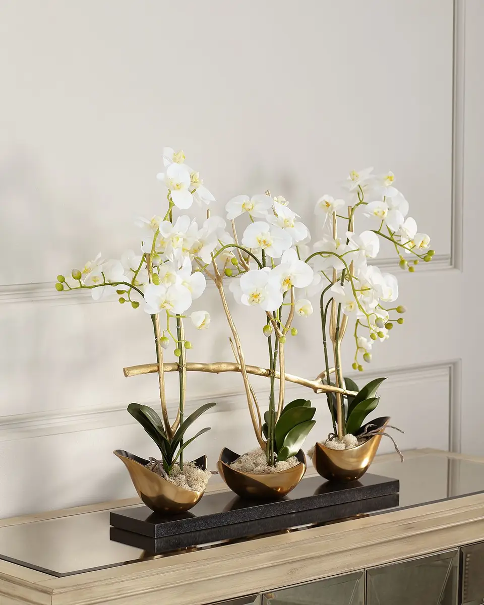 John-Richard Collection Silhouette Orchids II | Image 1 John-Richard Collection Silhouette Orchids II | Image 1
