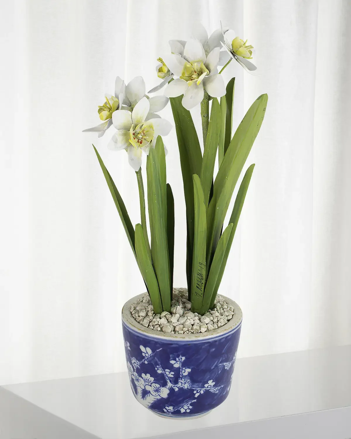 Tommy Mitchell Narcissus December Birth Flower in Blue/White Ceramic Pot