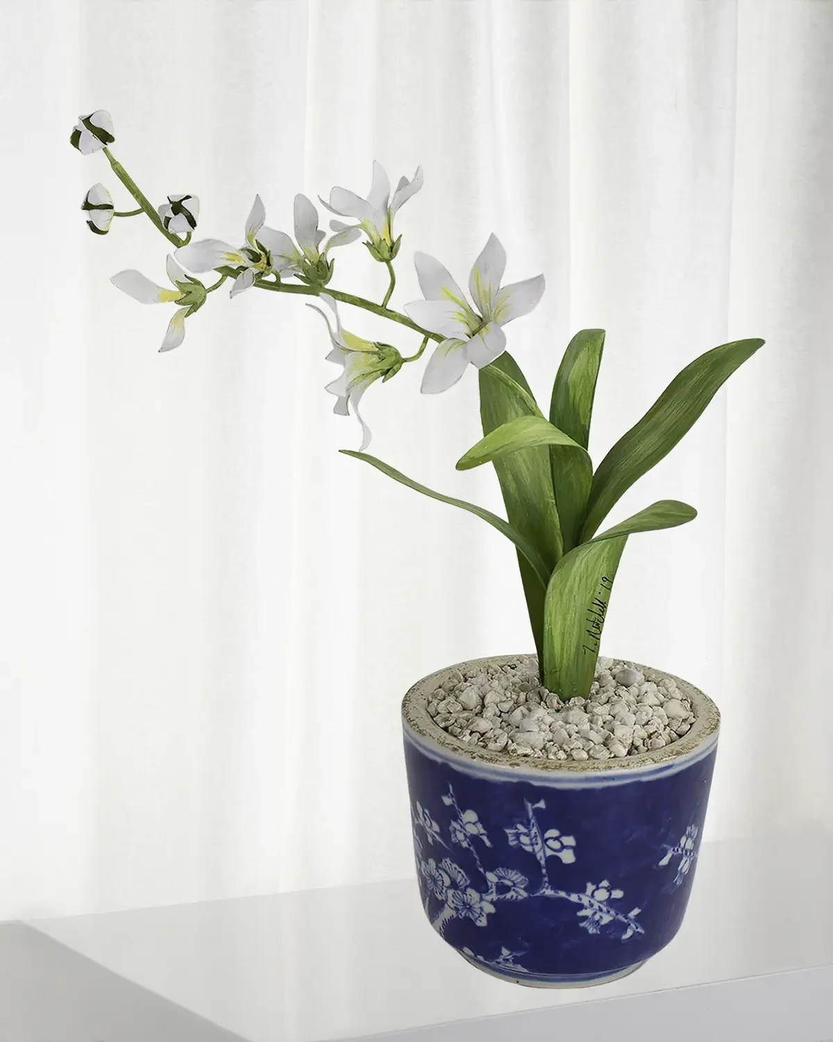 Tommy Mitchell Freesia March Birth Flower in Ceramic Pot
