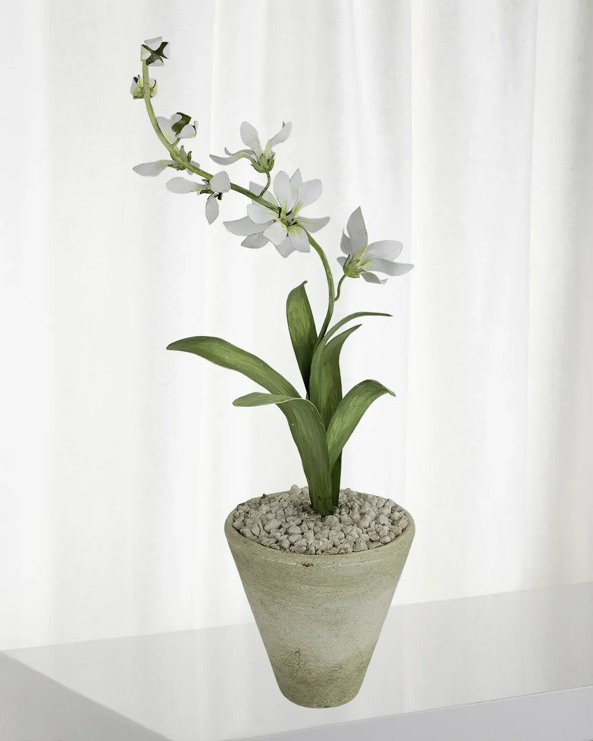 Tommy Mitchell Freesia March Birth Flower in White Terracotta Pot