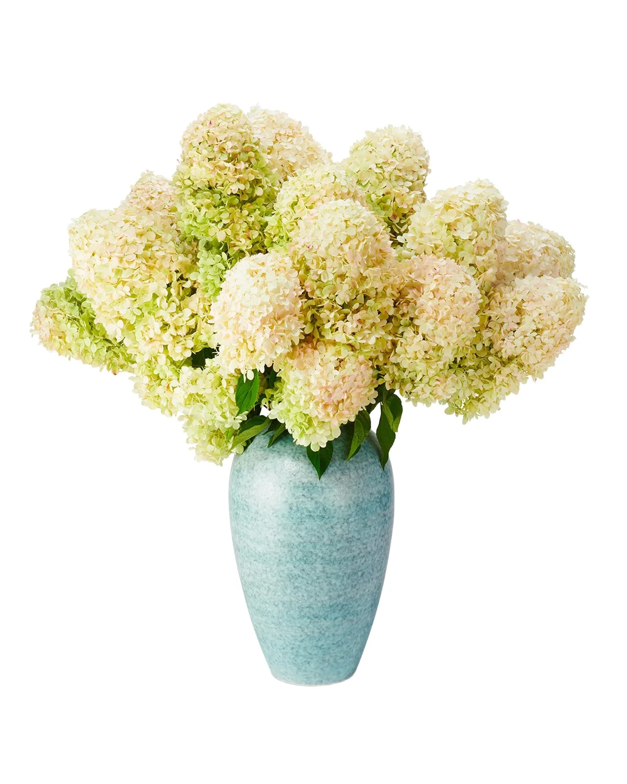 AERIN Calinda Tapered Vase