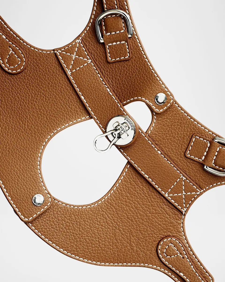 Pagerie The Colombo Dog Harness | Thumbnail 2