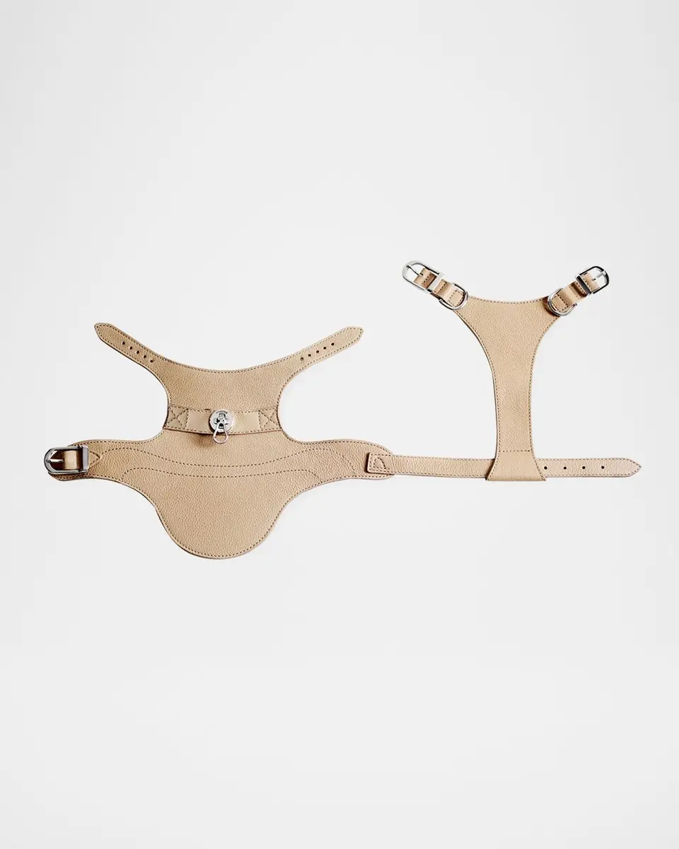 Pagerie The Babbi Dog Harness | Thumbnail 3