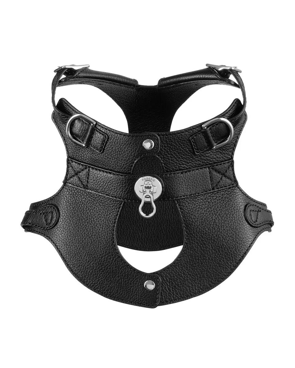 Pagerie The Colombo Dog Harness | Thumbnail 3