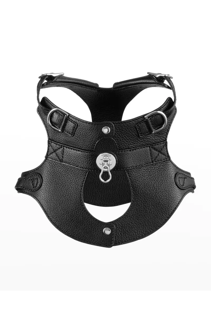Pagerie The Colombo Dog Harness | Thumbnail 4