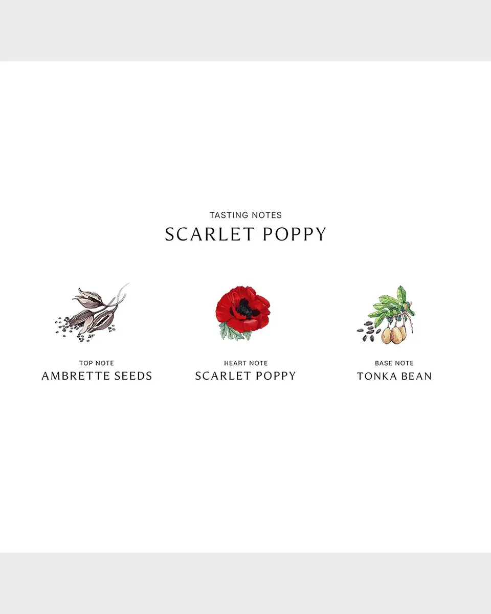Jo Malone London Scarlet Poppy Cologne Intense | Thumbnail 3