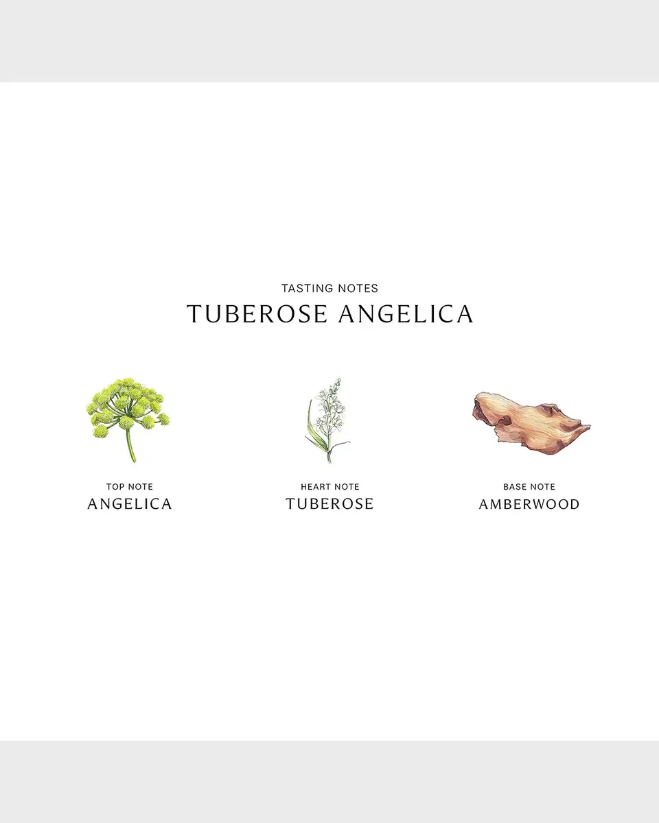 Jo Malone London Tuberose Angelica Cologne Intense, 1.7 oz. | Thumbnail 3 Jo Malone London Tuberose Angelica Cologne Intense, 1.7 oz. | Thumbnail 3