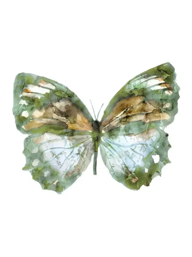 Prestige Arts "Brunswick Butterfly 1" Giclee