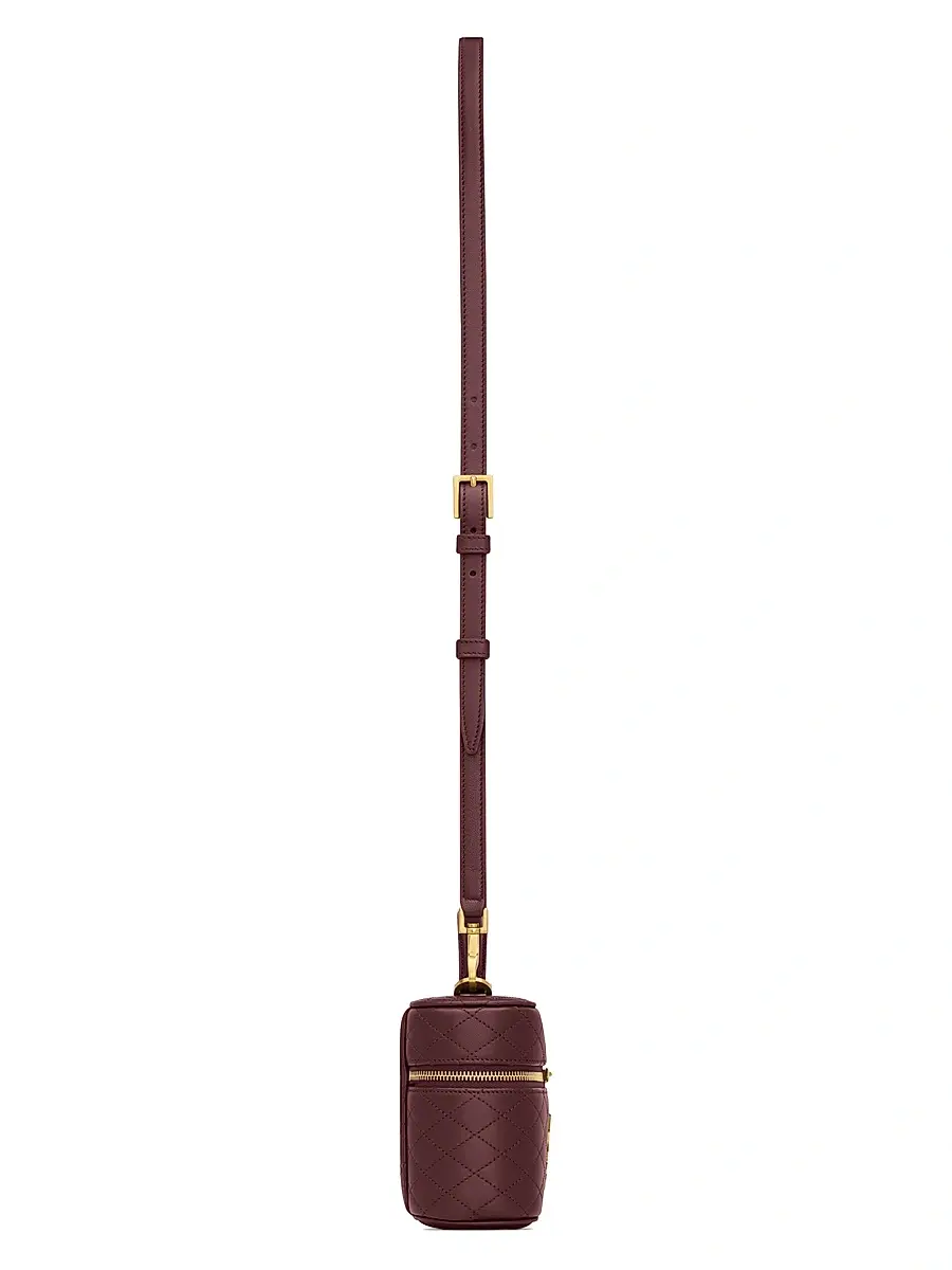 Saint Laurent Women's Gaby Mini Vanity Bag in Lambskin - Rouge Cabernet | Thumbnail 4