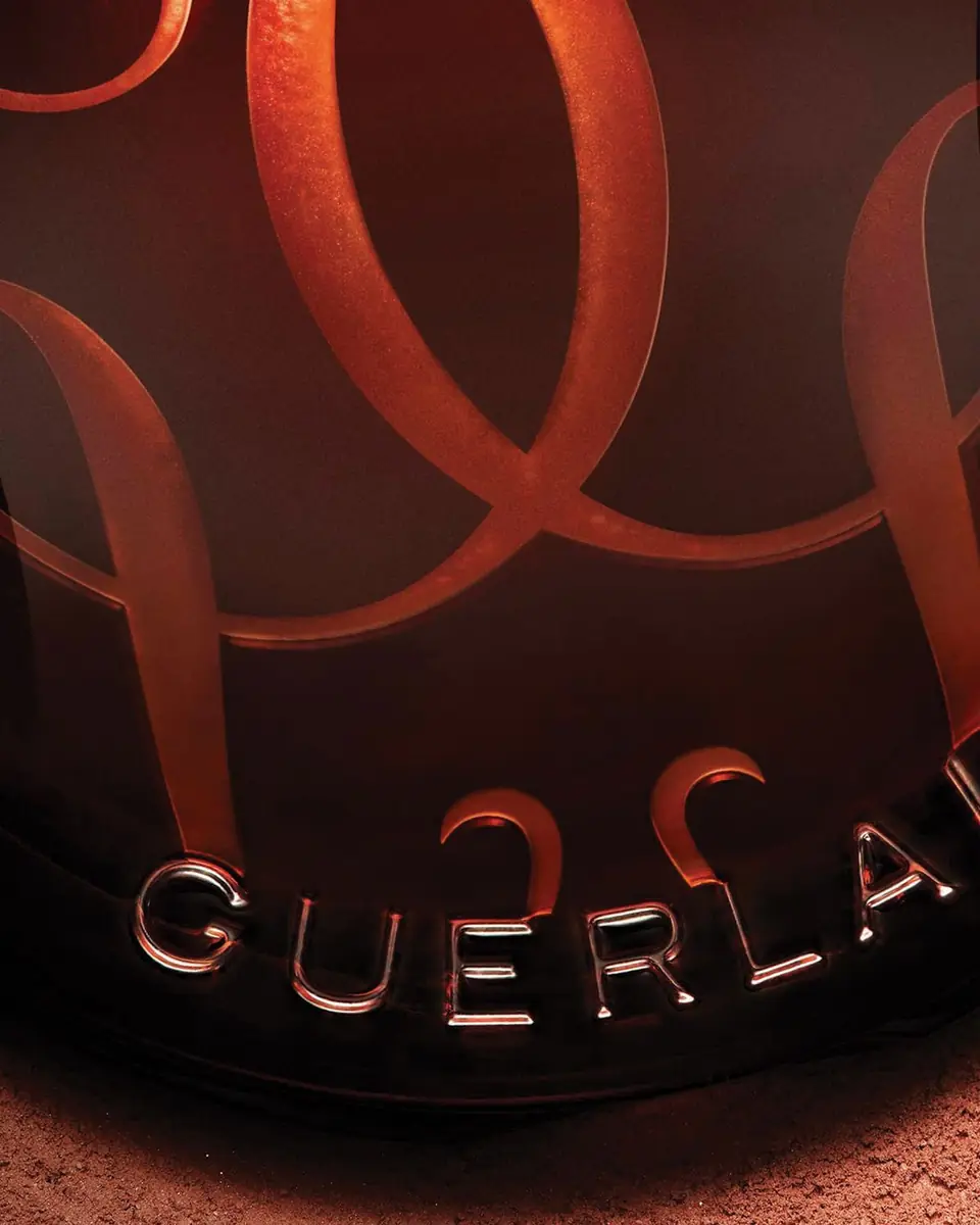 Guerlain Terracotta Powder Blush | Thumbnail 7