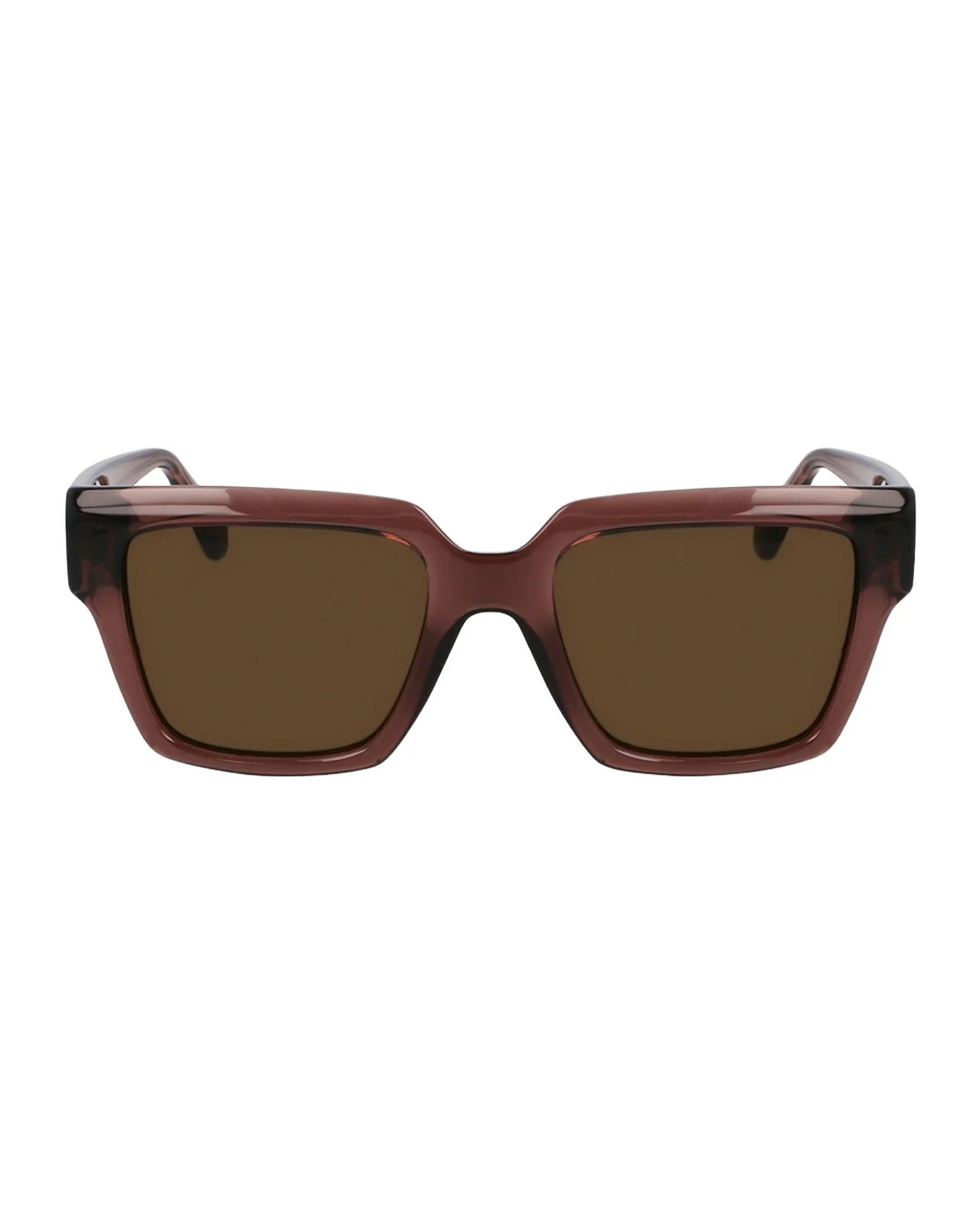Ferragamo Gancini Acetate Square Sunglasses