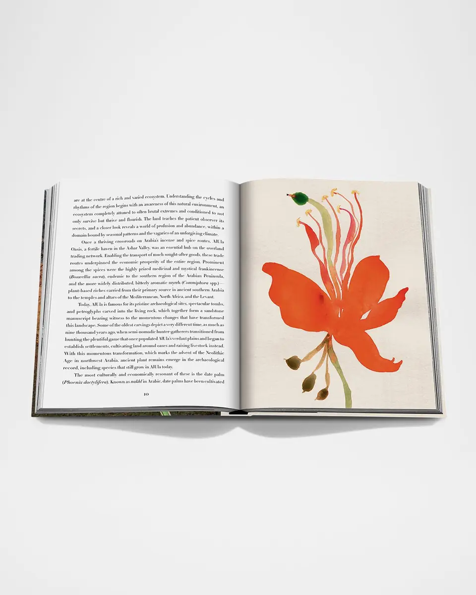 ASSOULINE "AlUla Flora: A Botanical Treasure" Book by Abdulaziz Assaeed | Thumbnail 3