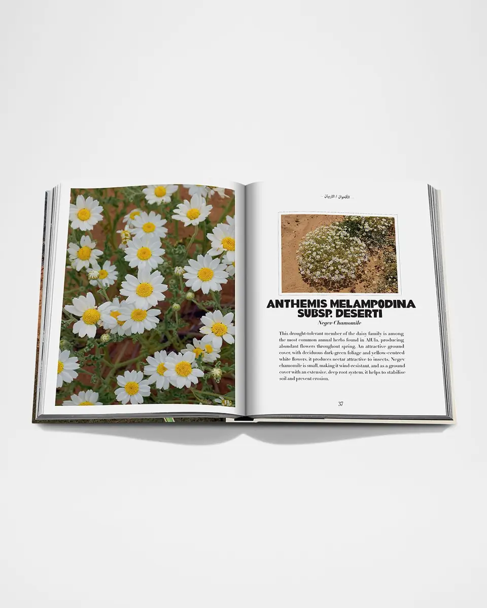 ASSOULINE "AlUla Flora: A Botanical Treasure" Book by Abdulaziz Assaeed | Thumbnail 6