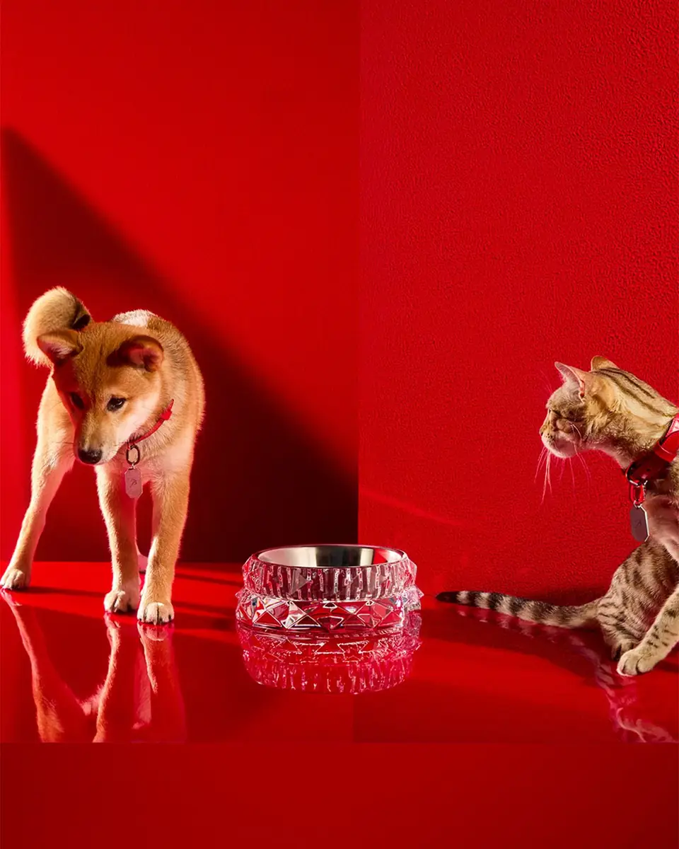 Baccarat Louxor Crystal Pet Bowl | Thumbnail 3 Baccarat Louxor Crystal Pet Bowl | Thumbnail 3