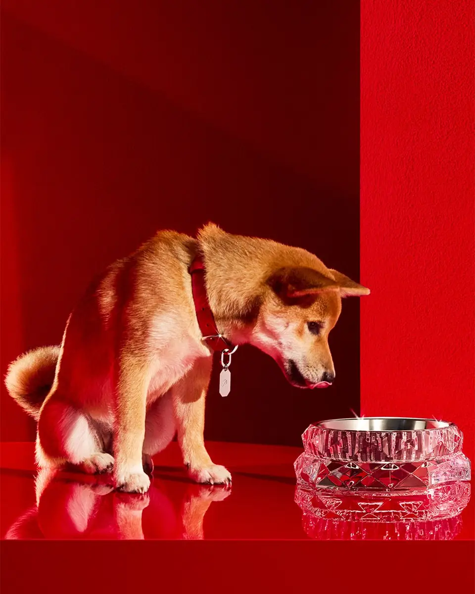 Baccarat Louxor Crystal Pet Bowl | Thumbnail 5 Baccarat Louxor Crystal Pet Bowl | Thumbnail 5