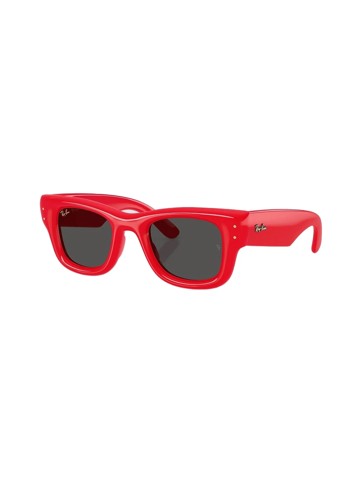Men's A$AP Rocky 0Rb4940 47MM Wayfarer Puffer Square Sunglasses Men's A$AP Rocky 0Rb4940 47MM Wayfarer Puffer Square Sunglasses