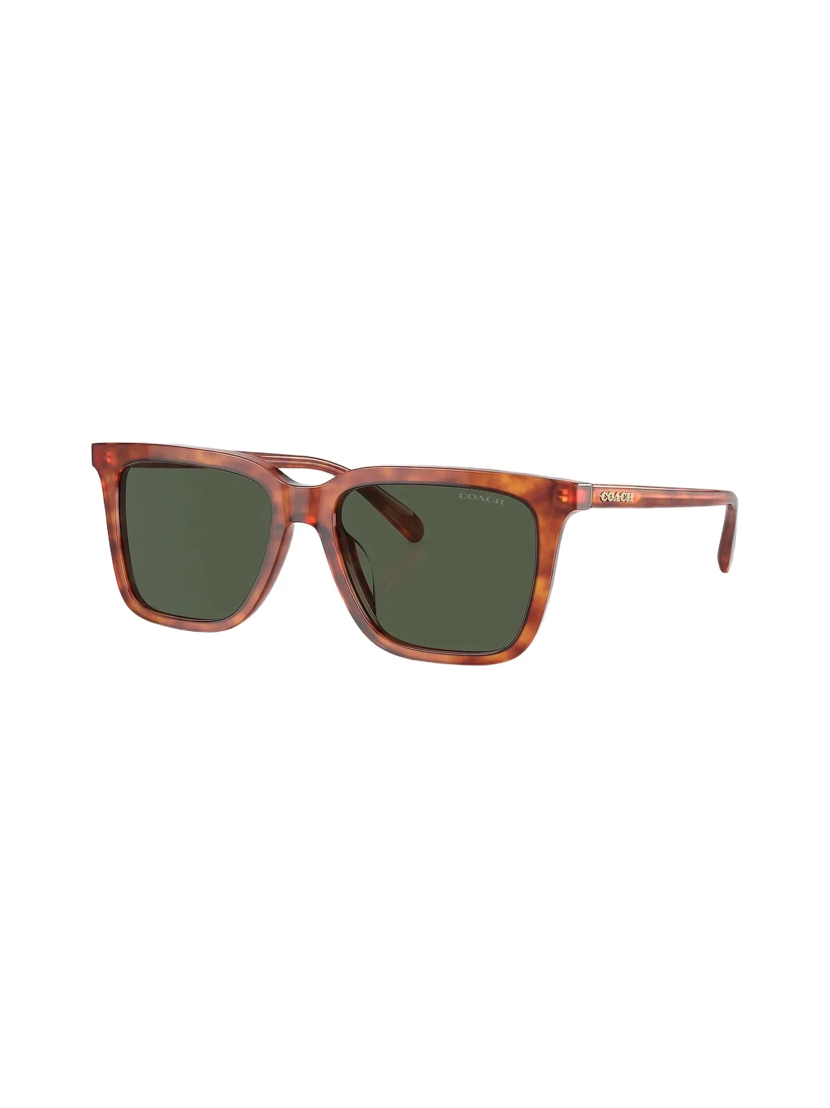 Men's 0HC8385U 54MM Butterfly Sunglasses Men's 0HC8385U 54MM Butterfly Sunglasses