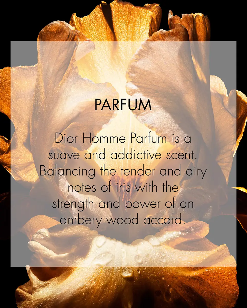Dior Homme Parfum | Thumbnail 3 Dior Homme Parfum | Thumbnail 3