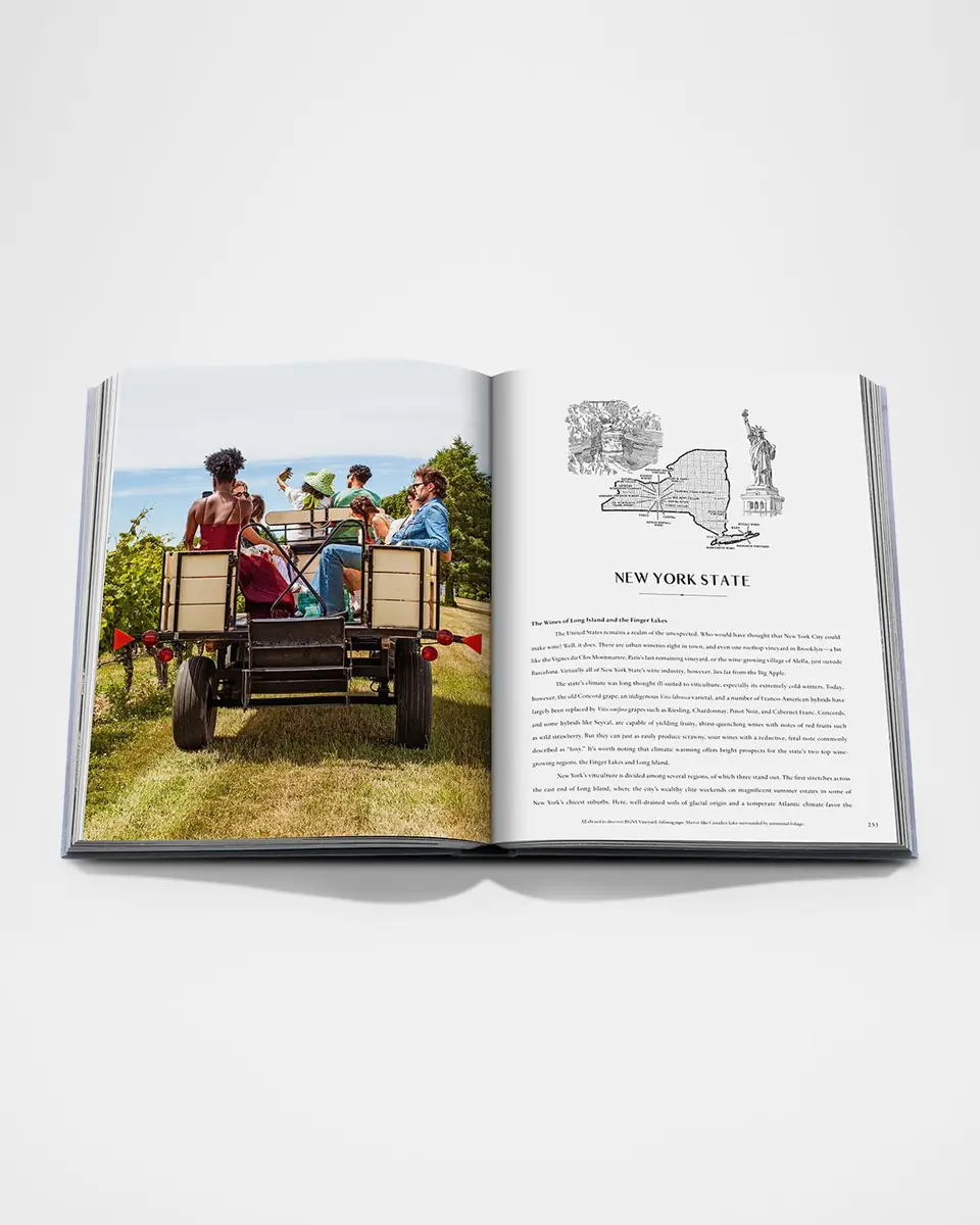 ASSOULINE "Wine & Travel: USA" Book by Enrico Bernardo | Thumbnail 3