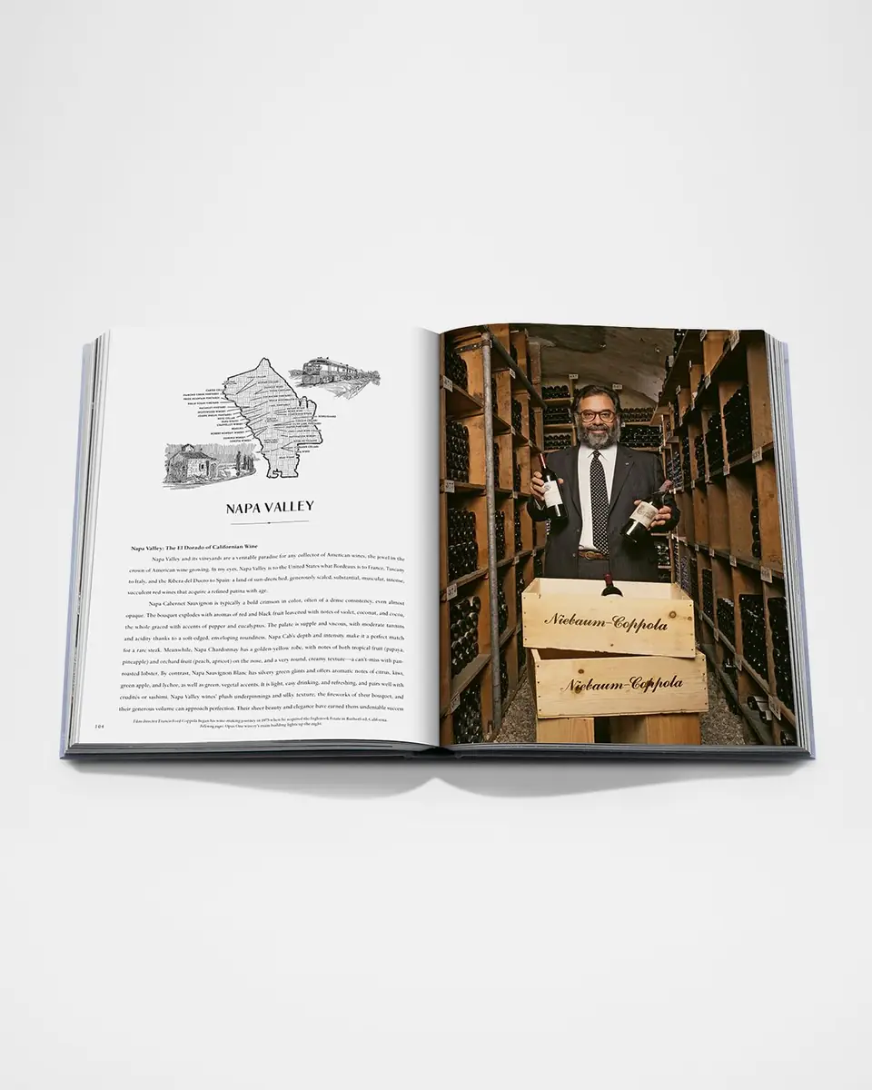 ASSOULINE "Wine & Travel: USA" Book by Enrico Bernardo | Thumbnail 6