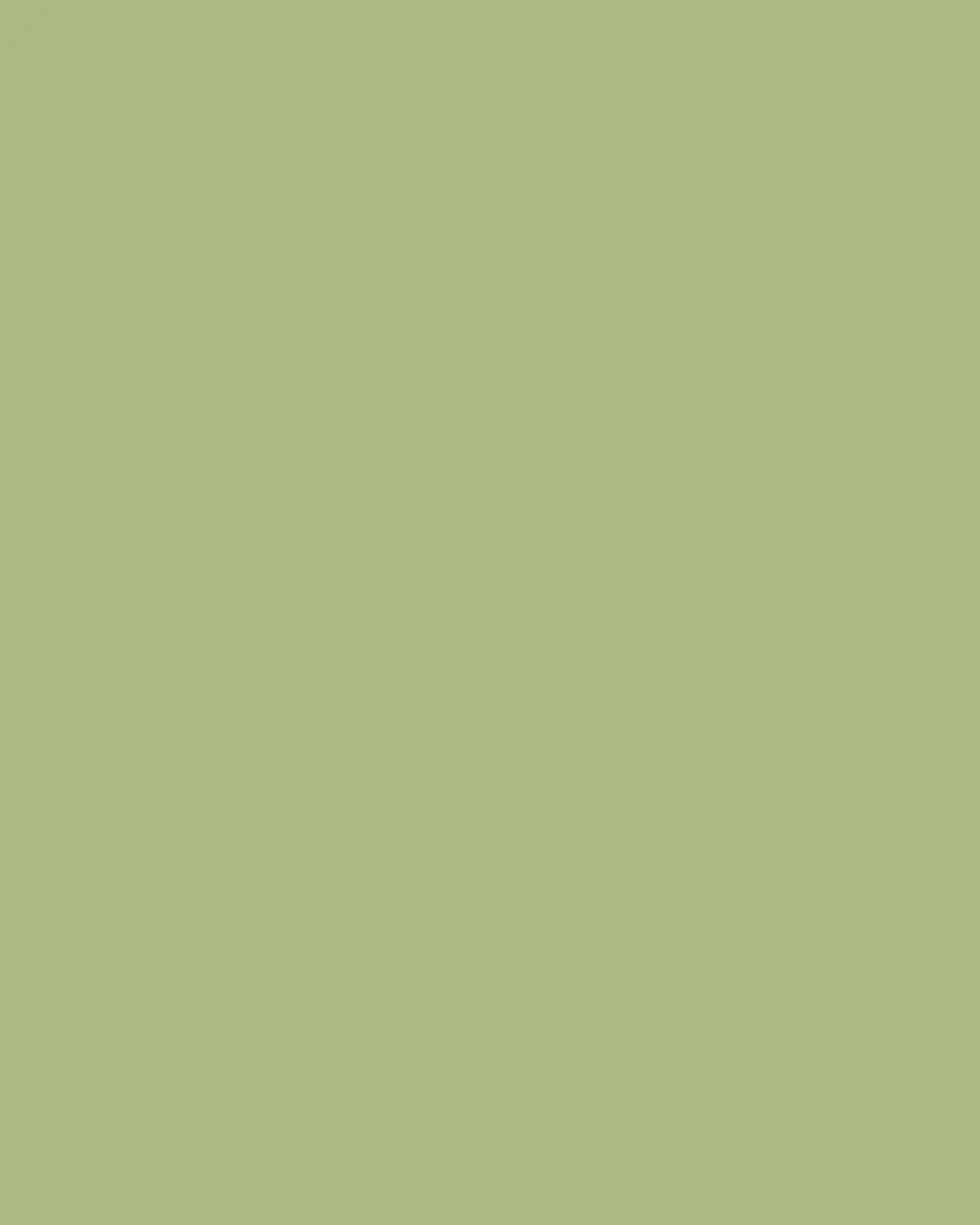 MacKenzie-Childs Green Check Napkins, Set of 4 | Thumbnail 3
