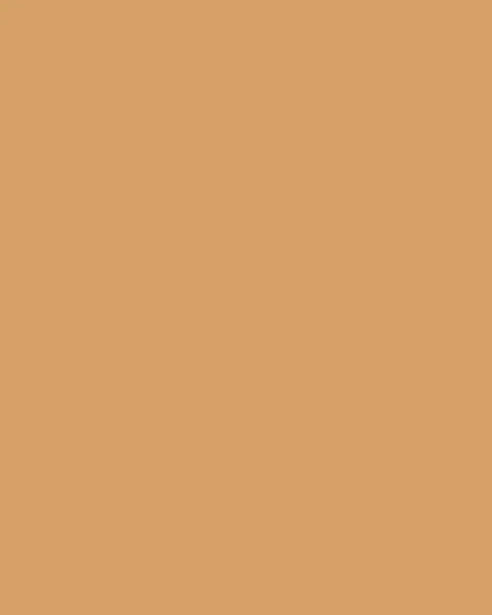 Simonnot Godard Men's Western Nubuck Suede Belt | Thumbnail 3