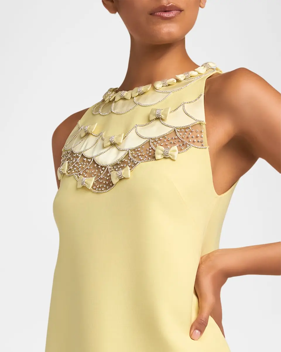Valentino Garavani Sleeveless Embroidered Mini Shift Dress | Thumbnail 5