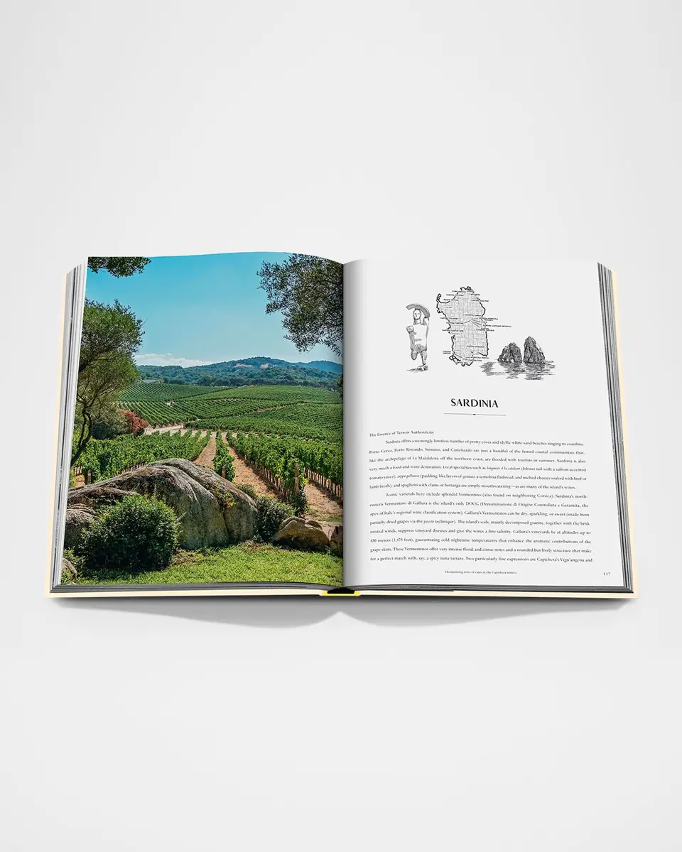 ASSOULINE "Wine & Travel: Mediterranean Islands" Book by Enrico Bernardo | Thumbnail 6