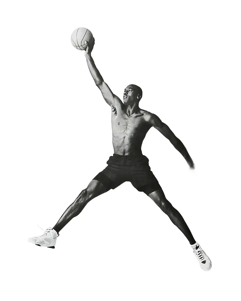 ASSOULINE "Air Jordan (Classic Edition)" Book by Adam Bradley