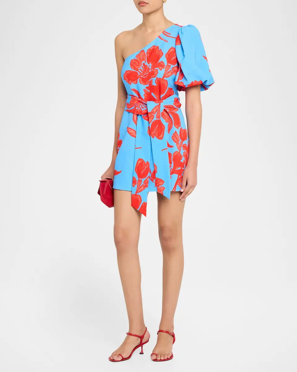 Cara Cara Lucia One-Shoulder Mini Dress | Thumbnail 2
