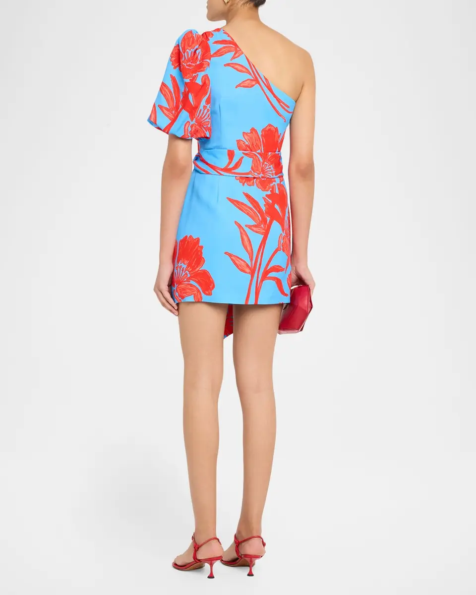 Cara Cara Lucia One-Shoulder Mini Dress | Thumbnail 3